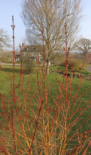 Opening your garden_501h