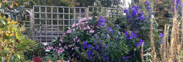 Witches garden_760x260